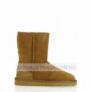 Ugg Women