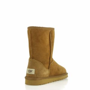 Ugg Women