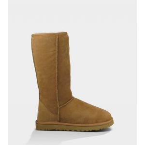 Ugg Women