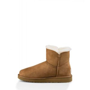 Ugg Women