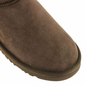 Ugg Women