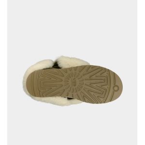 Ugg Women