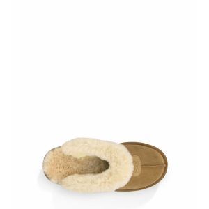 Ugg Coquette Slipper Chestnut