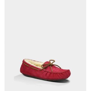 Ugg Women