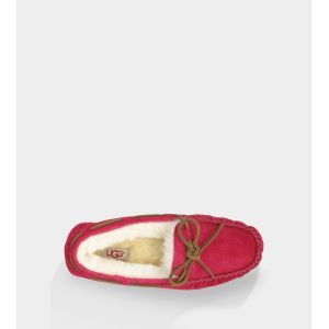 Ugg Women