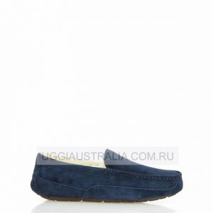 Ascot Navy