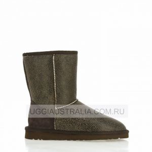 Ugg Classic Short Bomber Chocolate