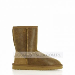 Ugg Classic Short Bomber Chestnut