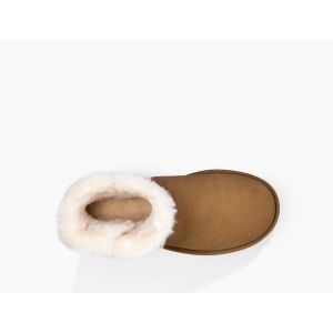 Mini Bailey Button II Chestnut