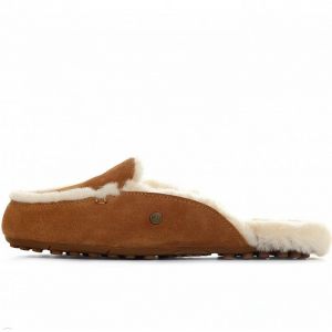 Женские тапочки Ugg LANE орех