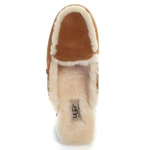 Женские тапочки Ugg LANE орех