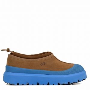 Tasman Hybrid Che/Big Sky