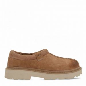 Man Tasman Lug Chestnut